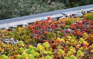 the cost of Bishopthorpe green roof installation