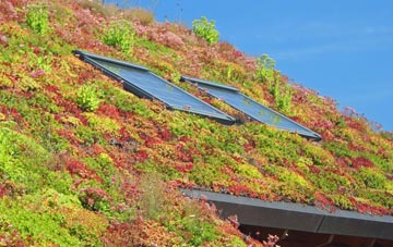 Bishopthorpe living roof systems