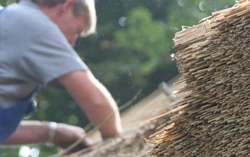 professional Bishopthorpe thatchers